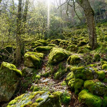 Proyecto llave en mano de pérgola bioclimática en Benifaió